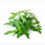 Chicory Inulin Powder